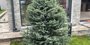 Декоративный камень Сланец Grey Slate Modern 3