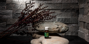 Кварцит Shimla White Natural