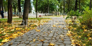 Тротуарная плитка Браер Грин галет. Парк им. Талалихина. Подольск (3)