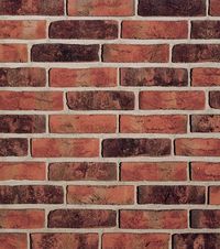 Кирпич облицовочный Formback graphit-bunt, 240х115х71 мм в Брянске