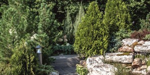 Террасная доска ДПК Bamberg Natural English Barnwood благоустройствопатио и уличная мебель из дпк (3)