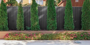 Реечная панель из ДПК для забора Turtle Shell, Middle Lines, Faroese Smokewood Co-Extrusion черные рейки фото глузого забора (6)