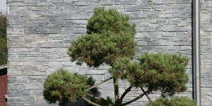 Плитка черная для фасада 3D панели RKS SLATE Сланец Black Slate Country (3)
